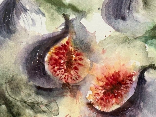 Large Figs, an original watercolour work by Jurga Vilimaite