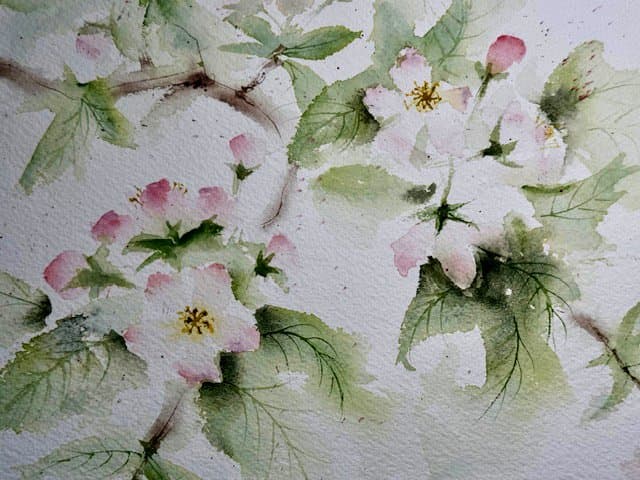 Apple blossoms, an original watercolour work by Jurga Vilimaite