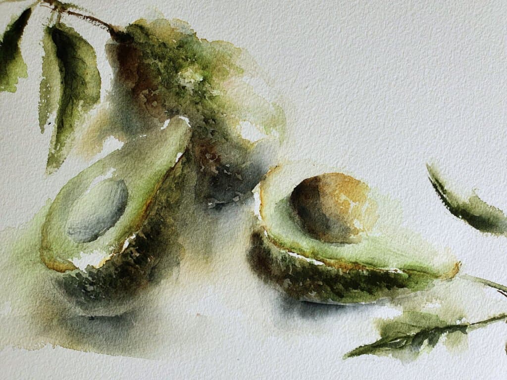 Avocado, an original watercolour work by Jurga Vilimaite