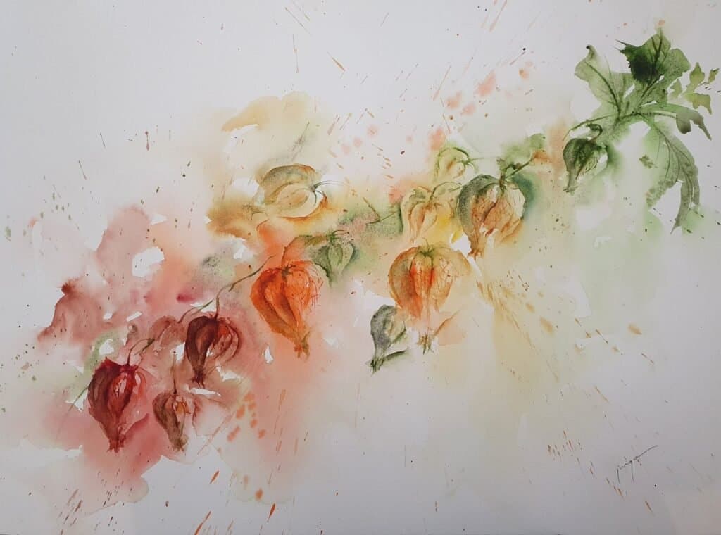 Chinese lantern plant, an original watercolour work by Jurga Vilimaite