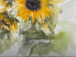 Detail 2 of Sunny side