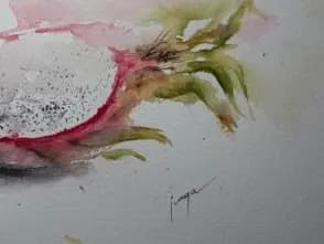 Detail 2 of Sleepy drangnfruit