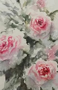 Detail 1 of Rose bush