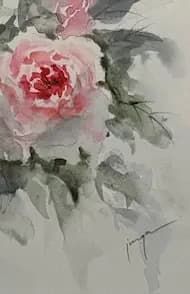Detail 2 of Rose bush