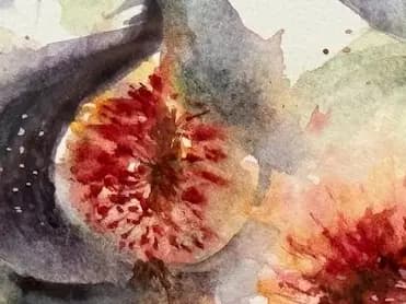 Detail 1 of Large Figs