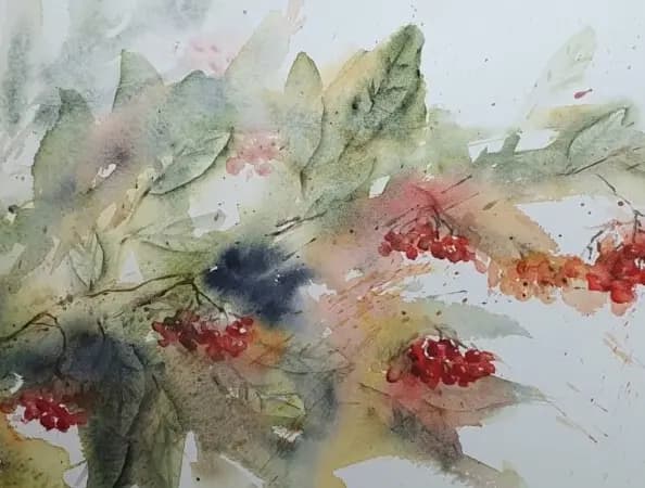 Detail 1 of Ashberry