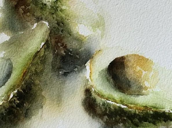 Detail 1 of Avocado