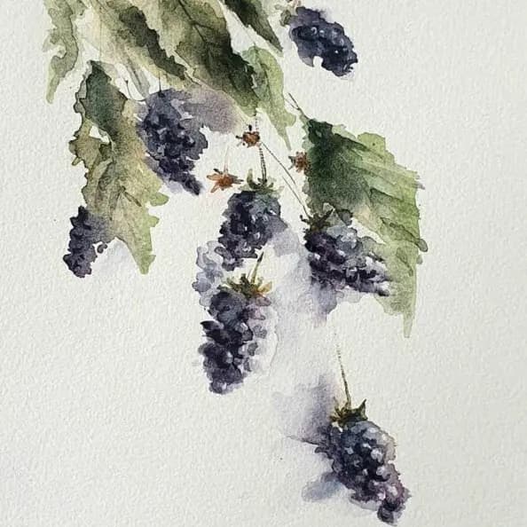 Detail 1 of Blackberries