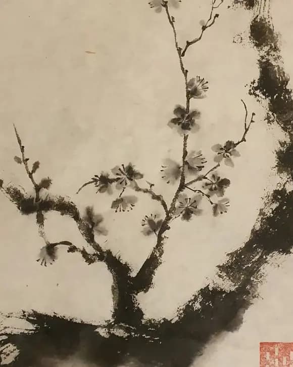 Detail 1 of Cherry tree