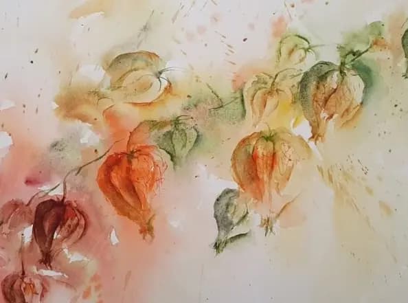 Detail 1 of Chinese lantern plant