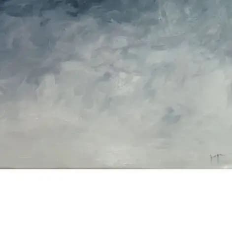Detail 2 of Curonian lagoon