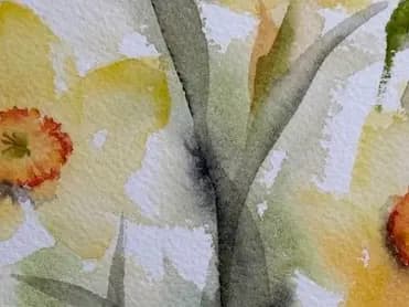 Detail 1 of Daffodils