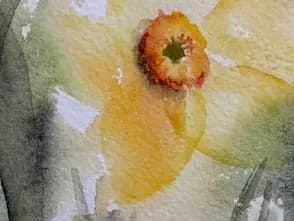 Detail 2 of Daffodils