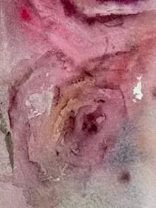 Detail 2 of Dreamy Roses