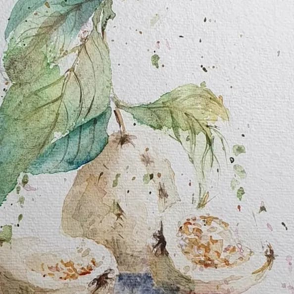 Detail 1 of Guavas and the fresh date