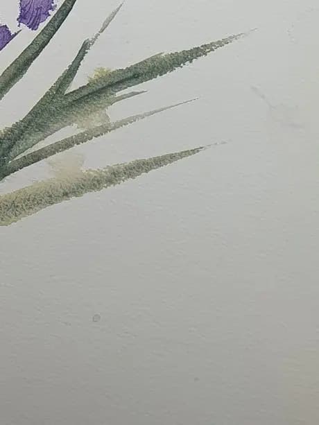 Detail 2 of Irises