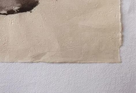 Detail 2 of Kokoro