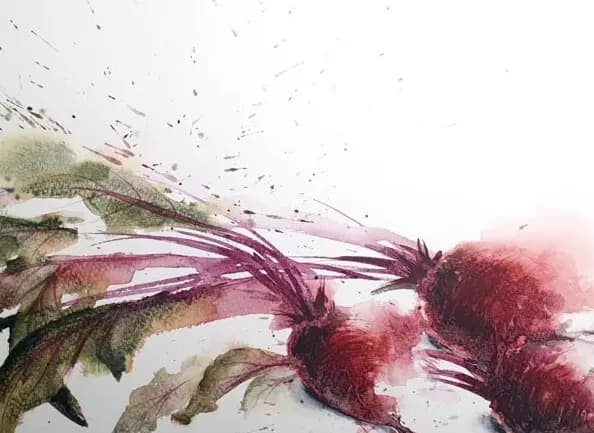 Detail 1 of Lazy Beetroot