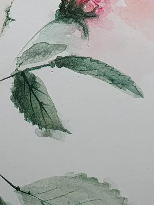 Detail 2 of Lonely Rose