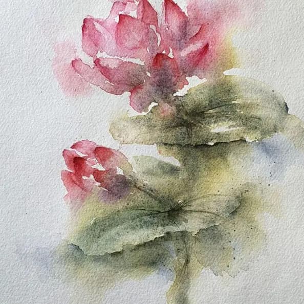 Detail 1 of Lotus flower
