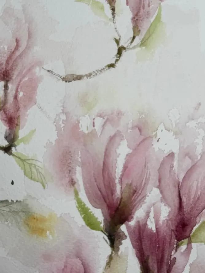 Detail 1 of Magnolias