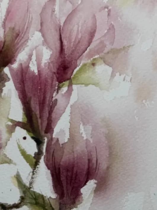 Detail 2 of Magnolias