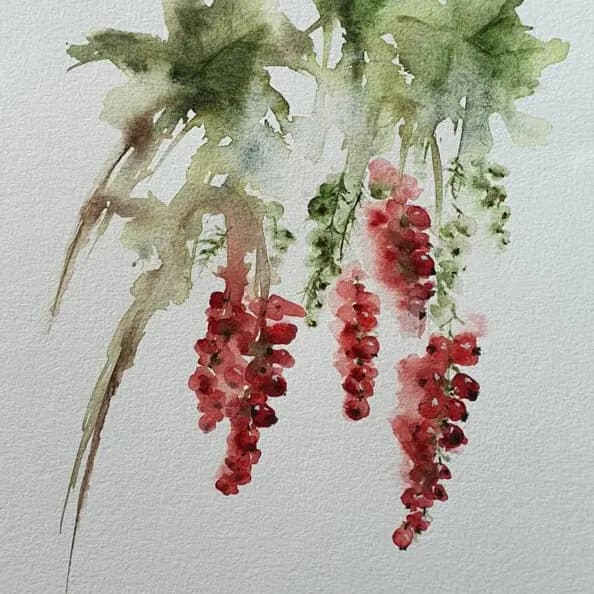 Detail 1 of Red Currant