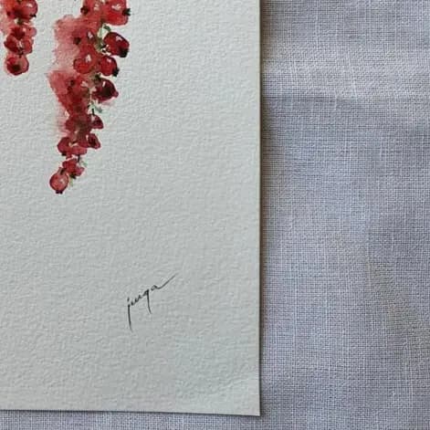 Detail 2 of Red Currant