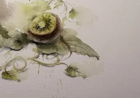 Detail 2 of Sleepy Kiwi