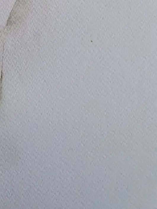 Detail 2 of Spring simplicity