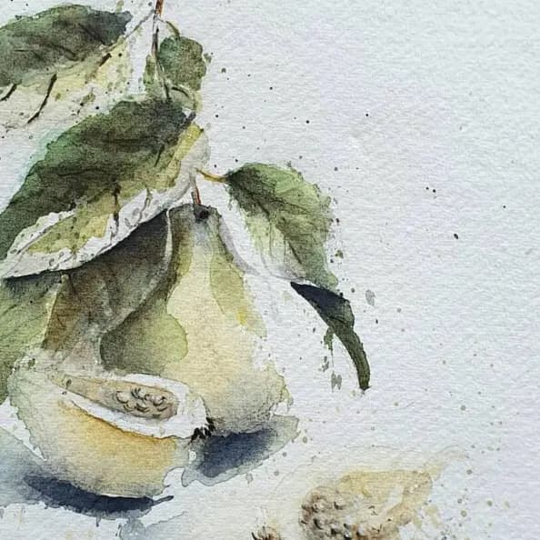 Detail 1 of Sun burnt guavas