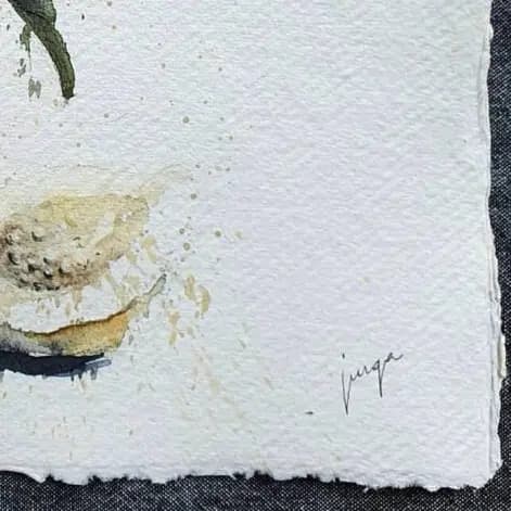 Detail 2 of Sun burnt guavas