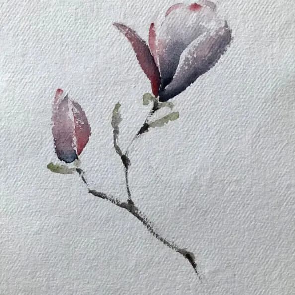 Detail 1 of Tulip tree 1