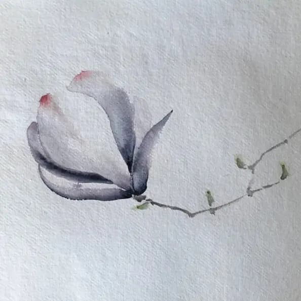 Detail 1 of Tulip tree
