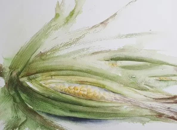 Detail 1 of Unruly Corn