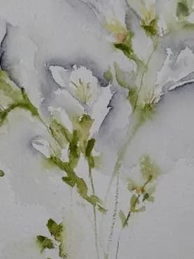 Detail 1 of White Fresias