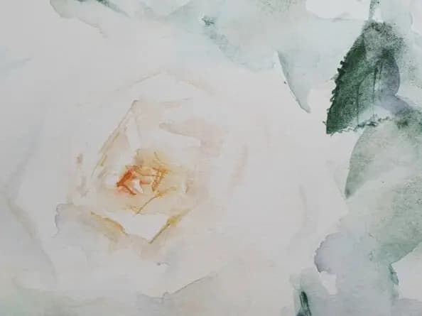 Detail 1 of White roses