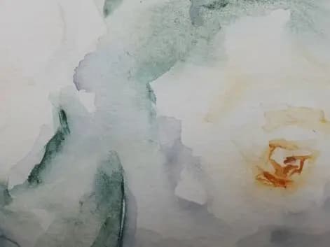Detail 2 of White roses