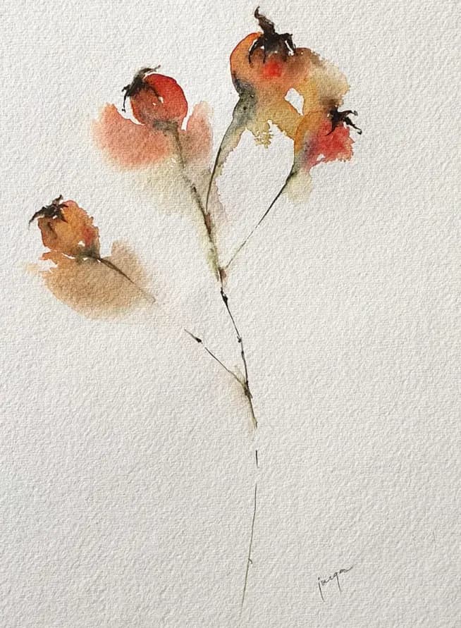 Detail 1 of Winter Rosehip