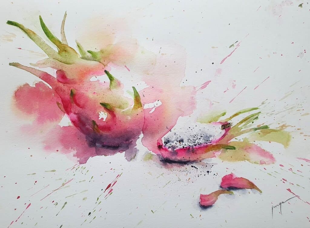 Dragon fruit, an original watercolour work by Jurga Vilimaite