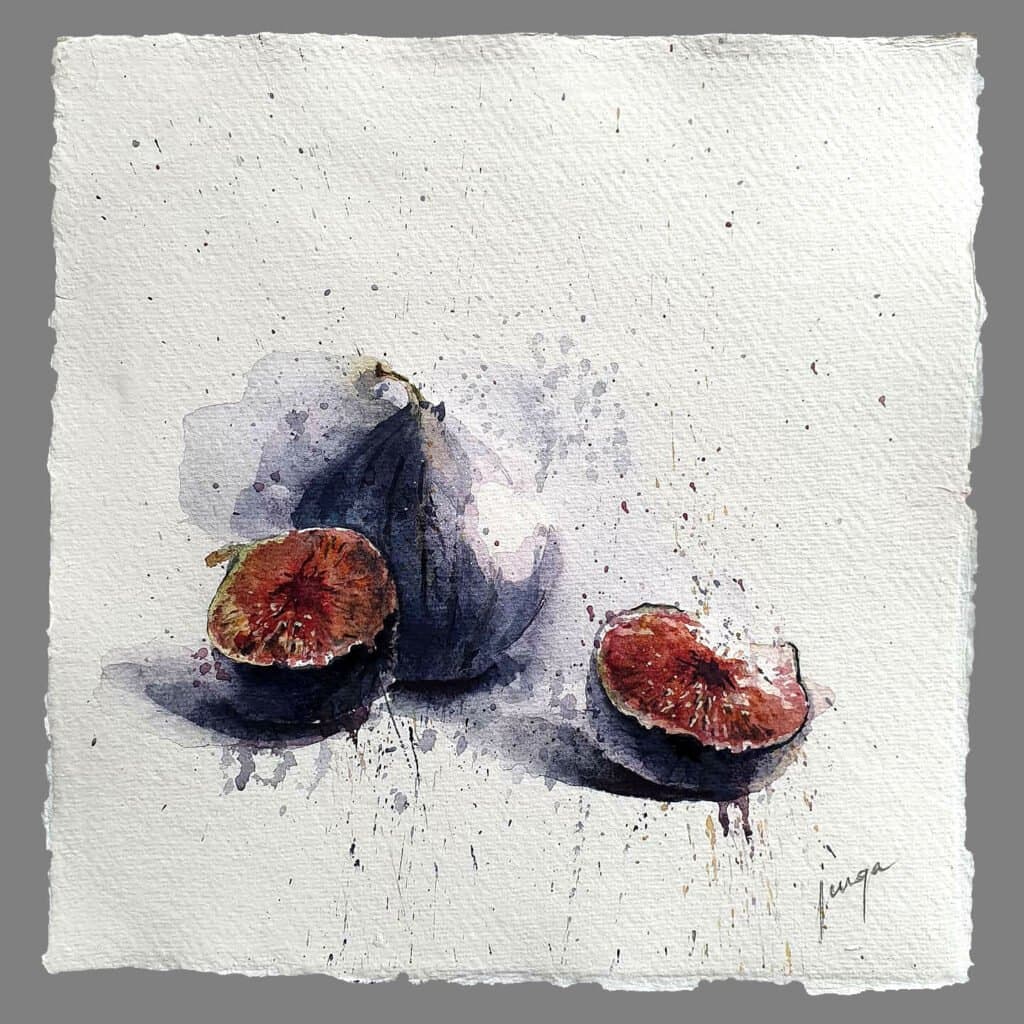 Figs, an original watercolour work by Jurga Vilimaite
