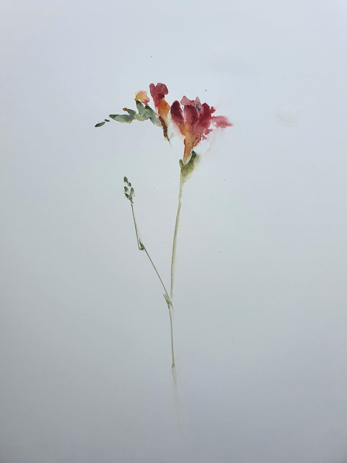 Fresia 2, an original watercolour work by Jurga Vilimaite