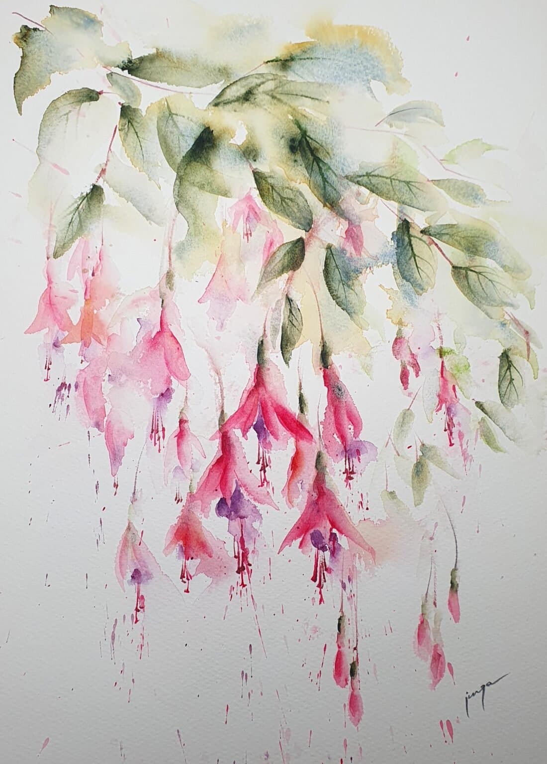Fuscia, an original watercolour work by Jurga Vilimaite