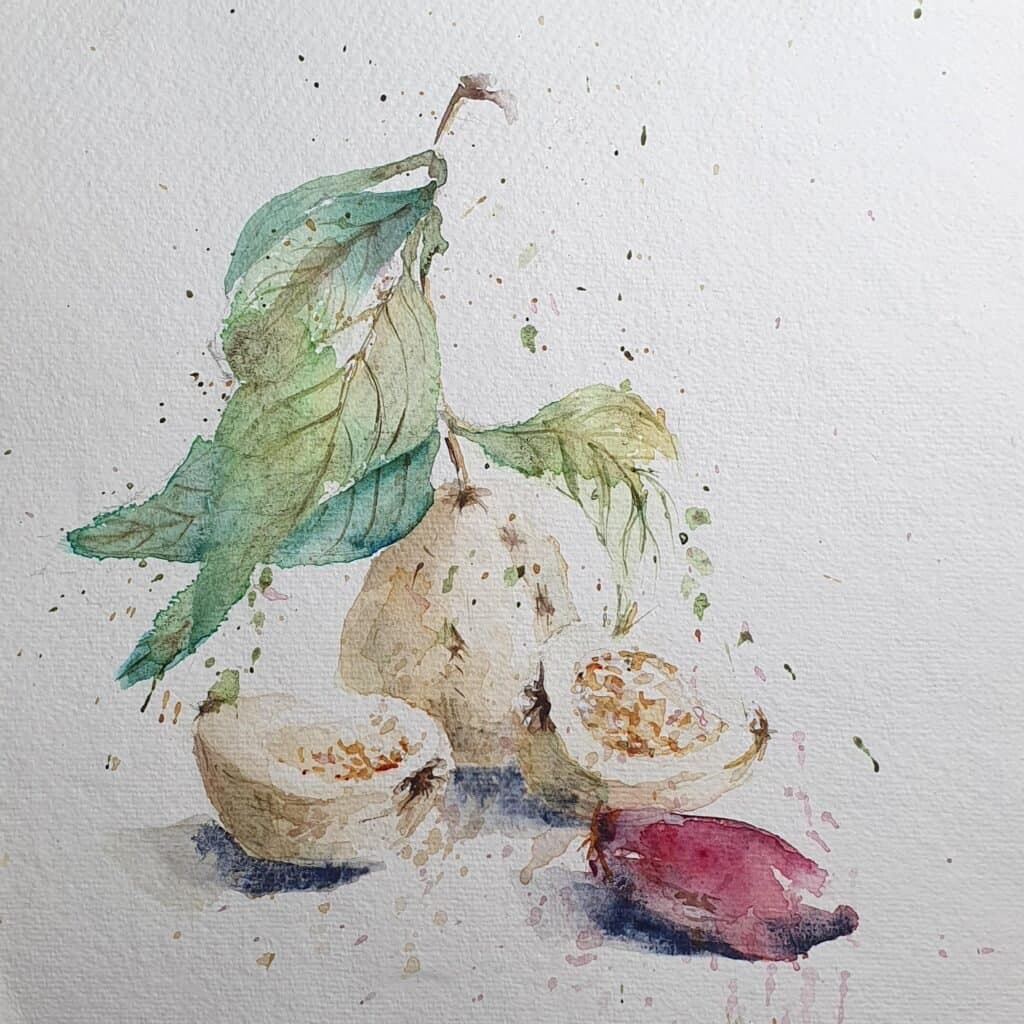 Guavas and the fresh date, an original watercolour work by Jurga Vilimaite