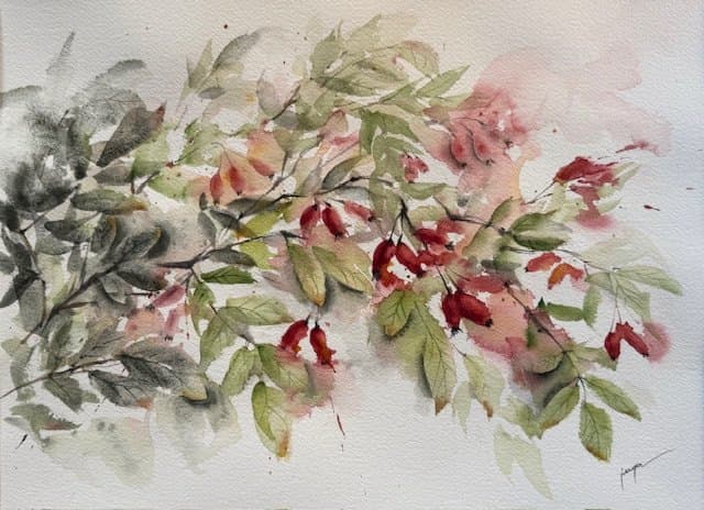 Hibiscus, an original watercolour work by Jurga Vilimaite