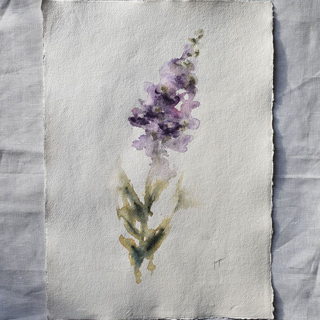 Hoary stock, an original watercolour work by Jurga Vilimaite