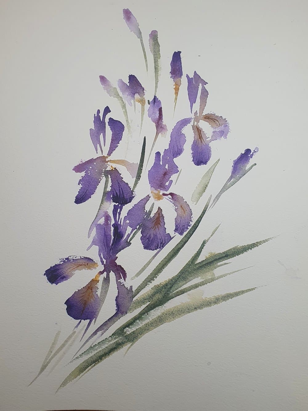 Irises, an original watercolour work by Jurga Vilimaite