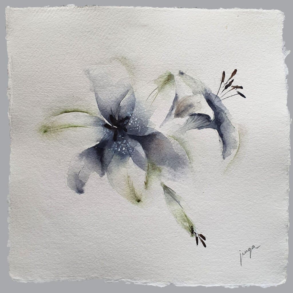 Lilies, an original watercolour work by Jurga Vilimaite