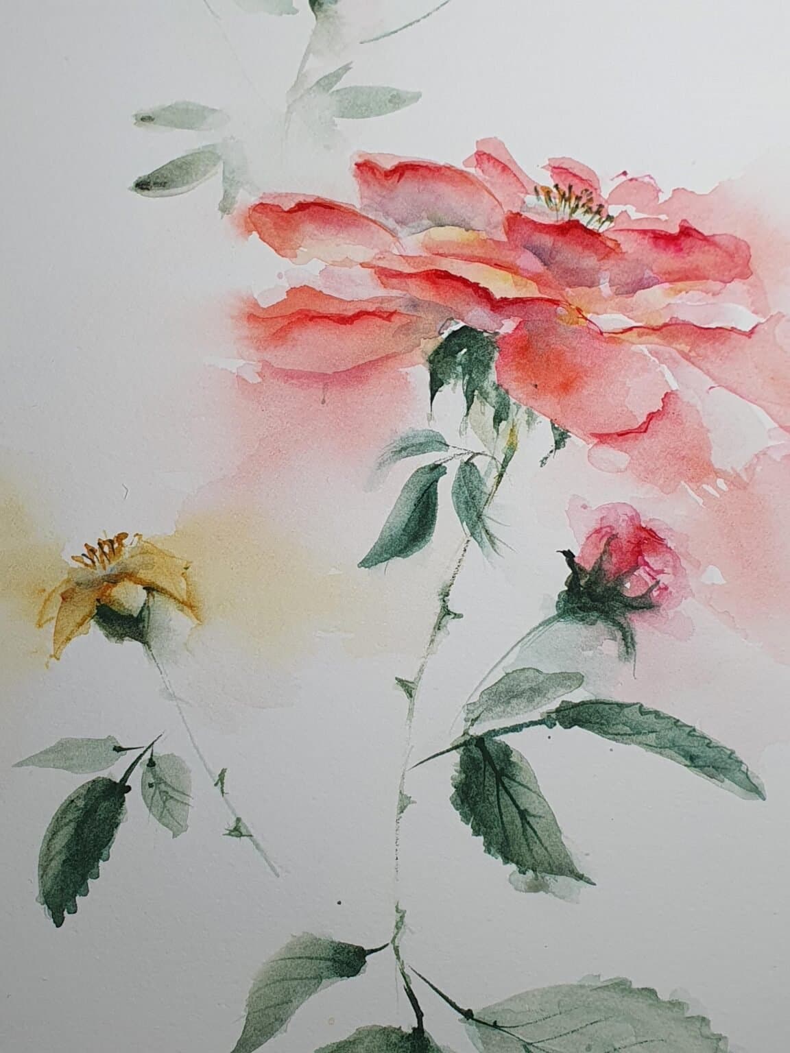 Lonely Rose, an original watercolour work by Jurga Vilimaite
