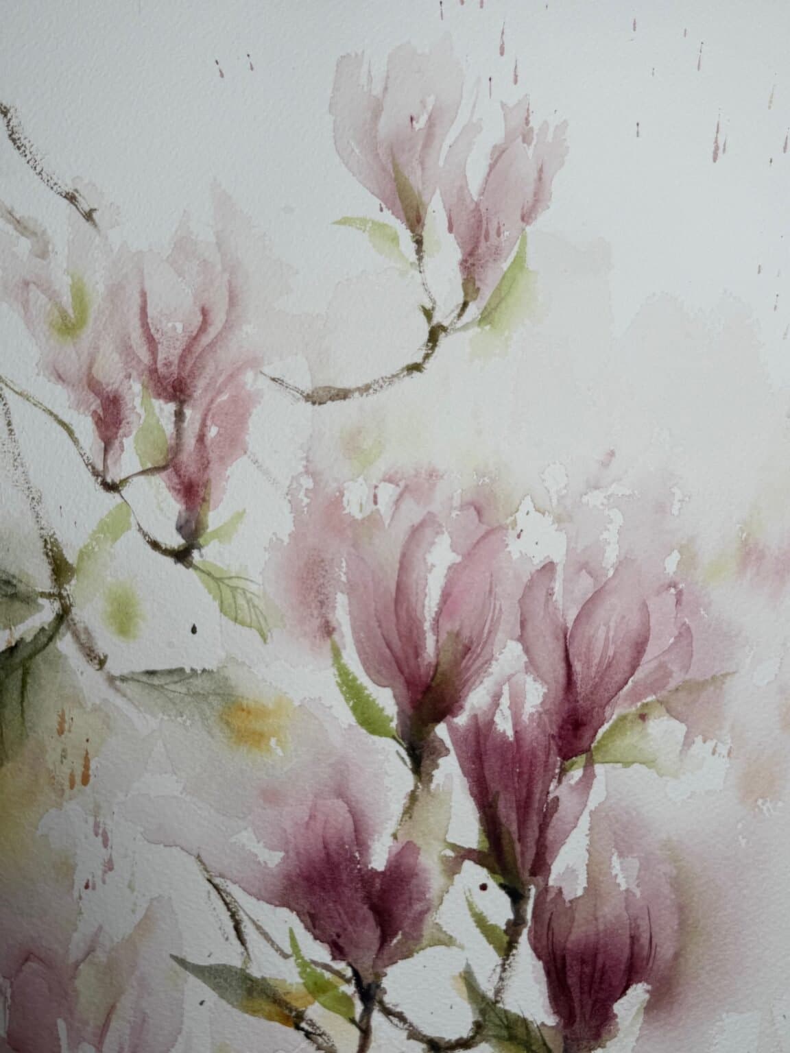 Magnolias, an original watercolour work by Jurga Vilimaite